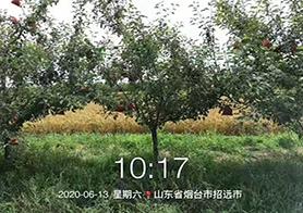 煙臺(tái)招遠(yuǎn)腐植酸鉀展示區(qū)